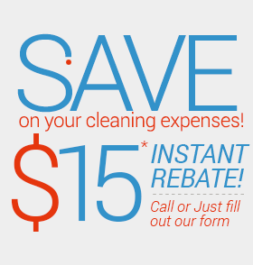 save cleaning expenses